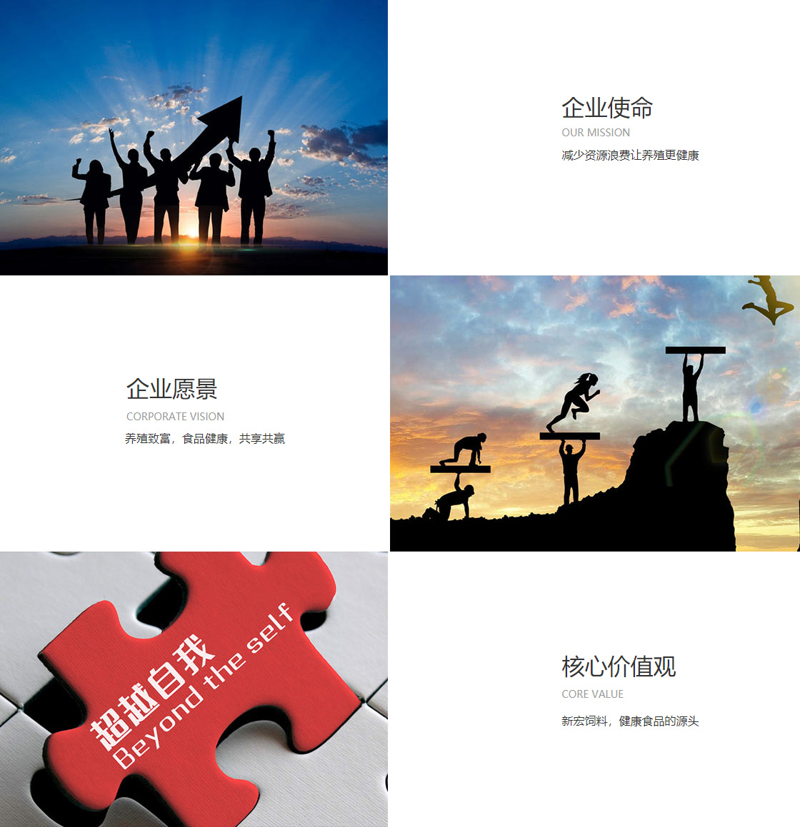 金沙4399js(图1)